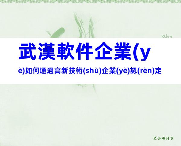 武漢軟件企業(yè)如何通過高新技術(shù)企業(yè)認(rèn)定