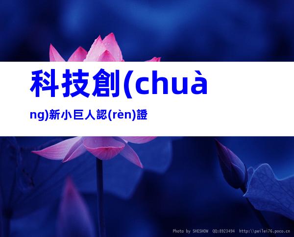 科技創(chuàng)新小巨人認(rèn)證
